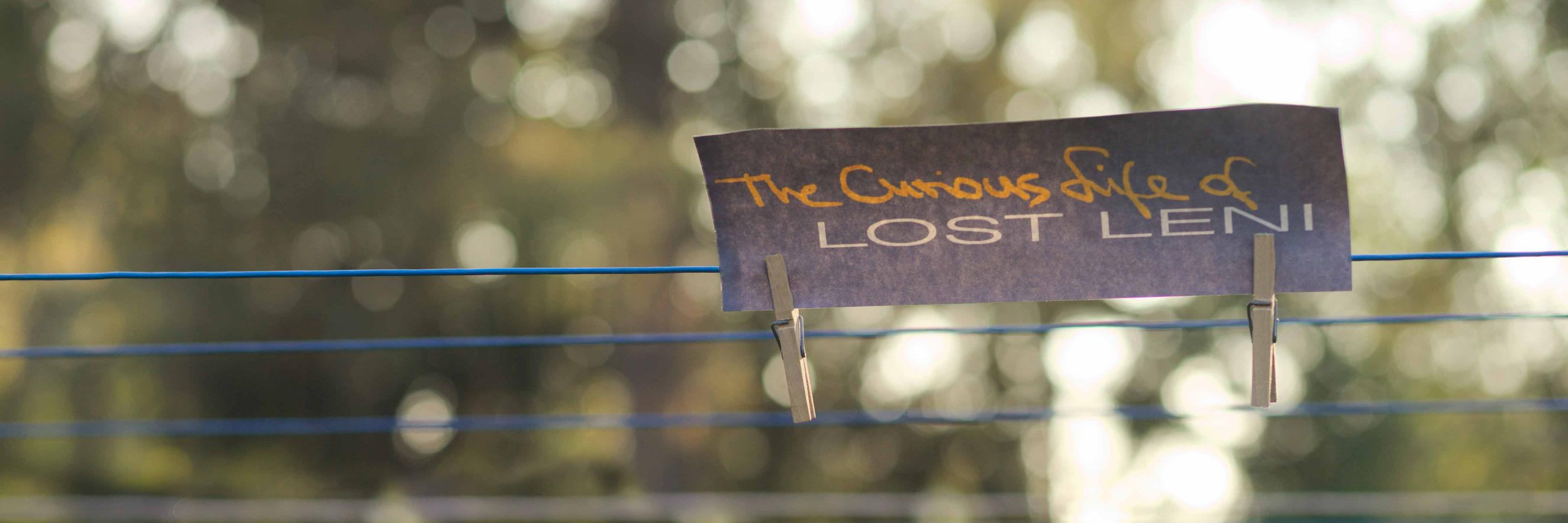 LostLeni's profile banner image