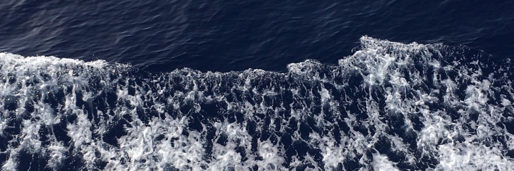 lexiplumerousse's profile banner image