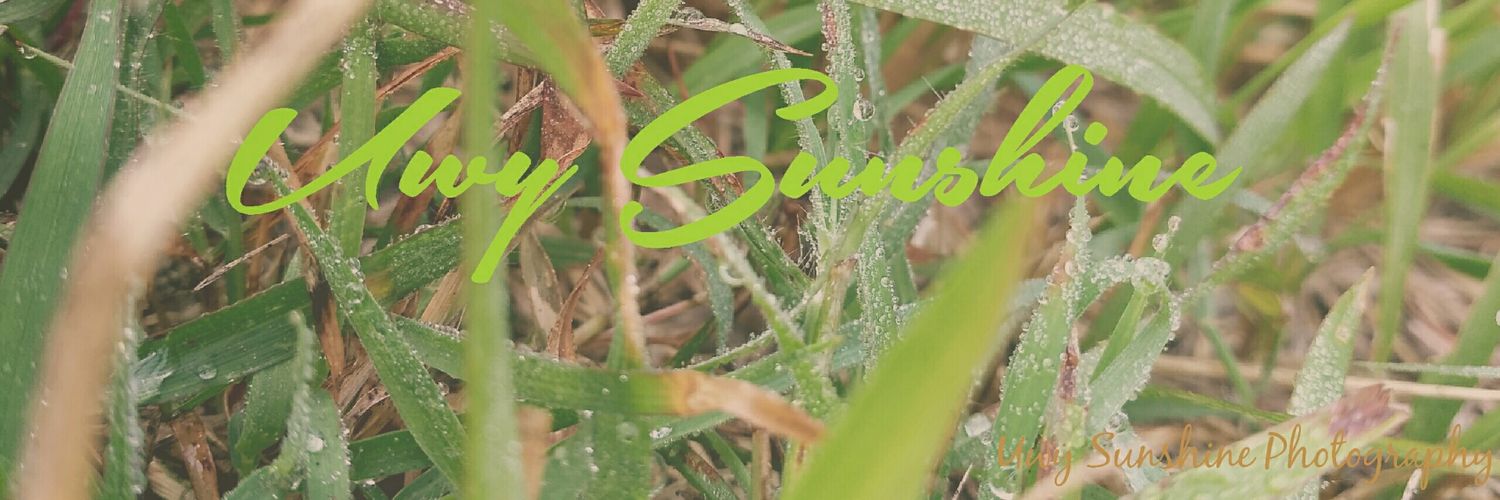 UwySunshine's profile banner image