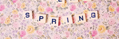 SPRING Dance Cover banner