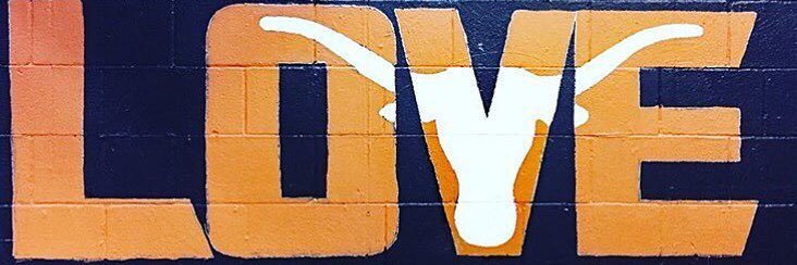 Christine Hook 'Em banner