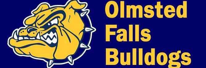 Mrs. Voisinet banner