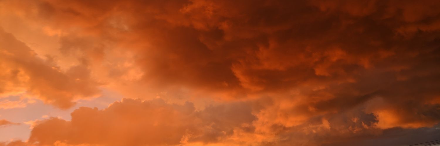 #FreePalestine banner