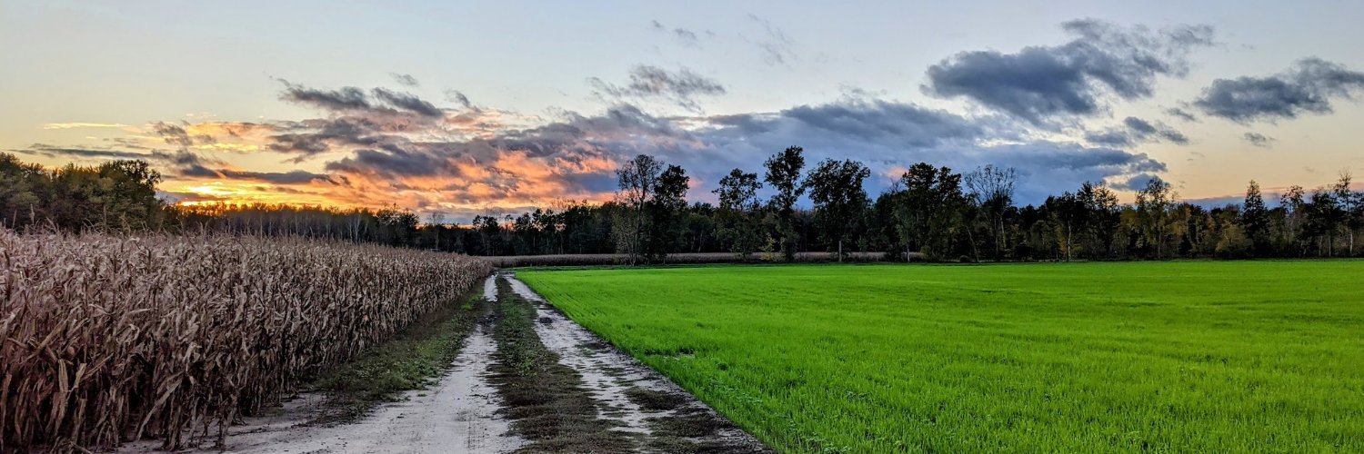 oneguynick@mastodon.social banner