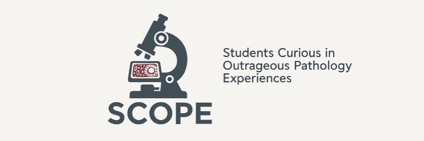 LUC Stritch SOM SCOPE banner