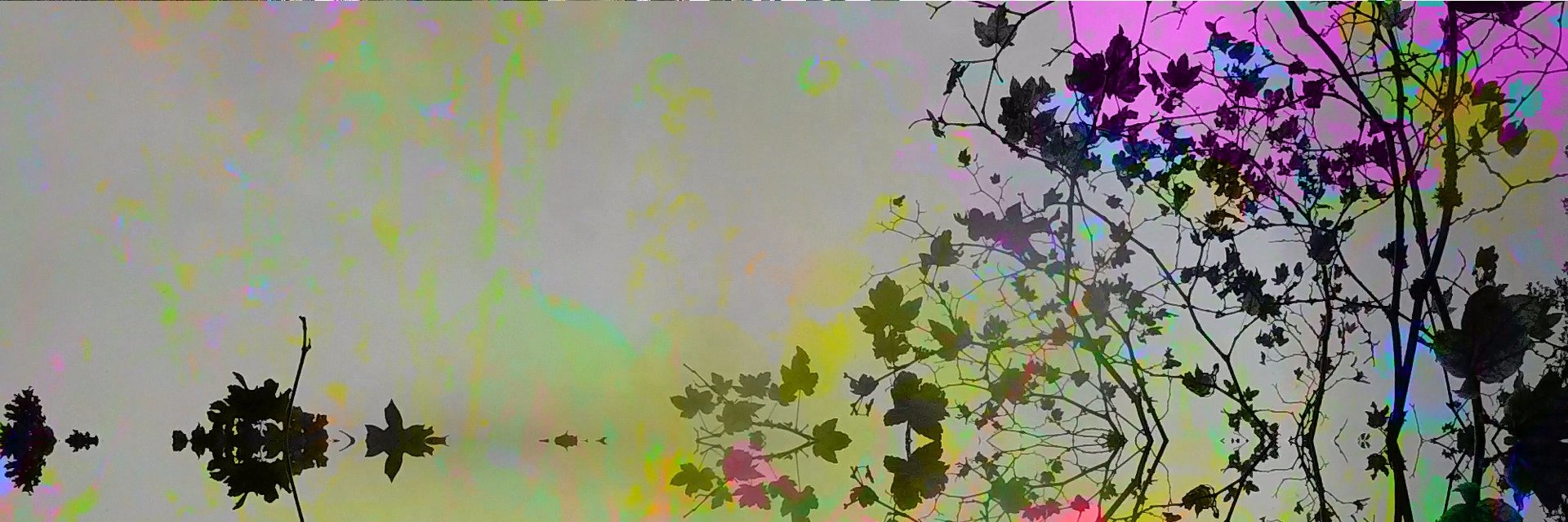 mira lane banner