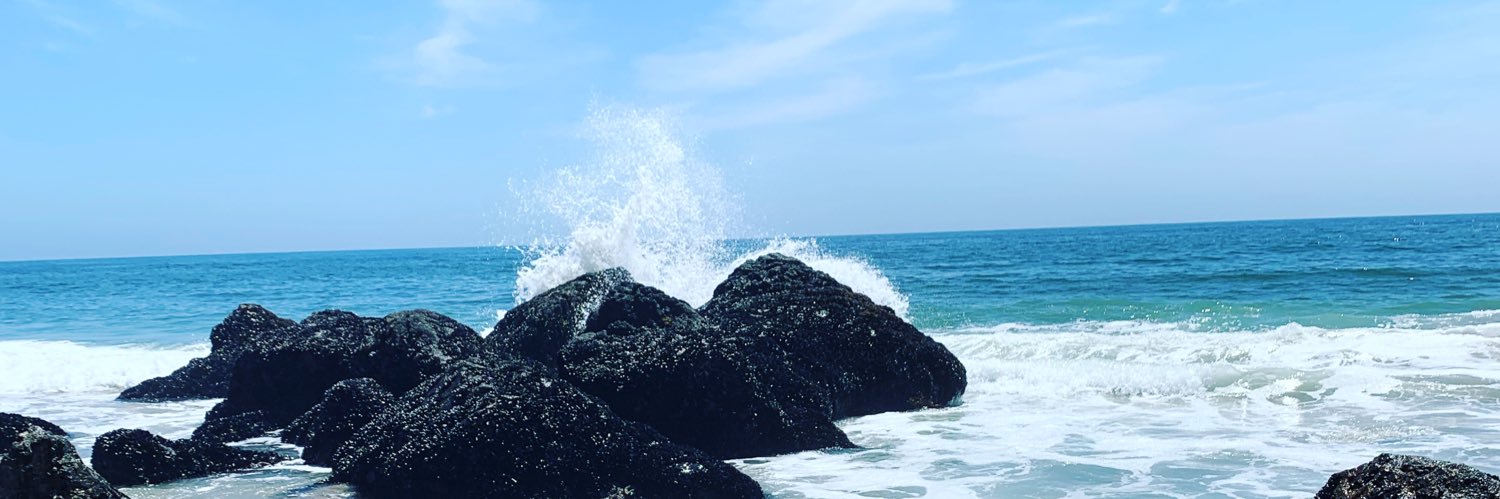 Jessica Kantor banner