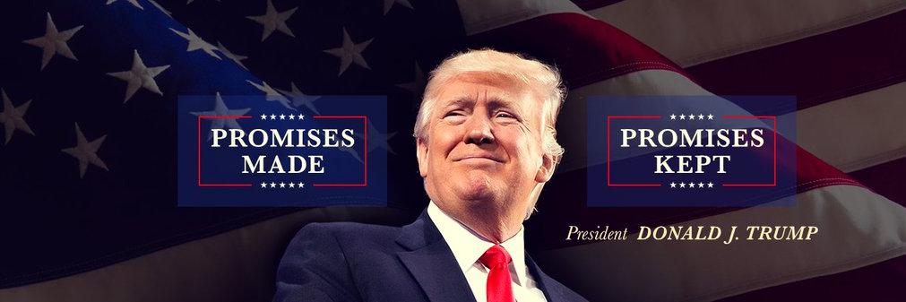 Donald T R U M P France banner