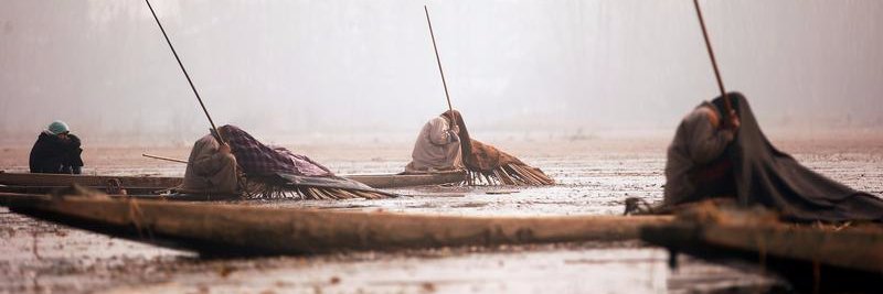 IndiaPhotos's profile banner image