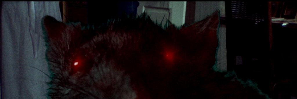 Scampy banner