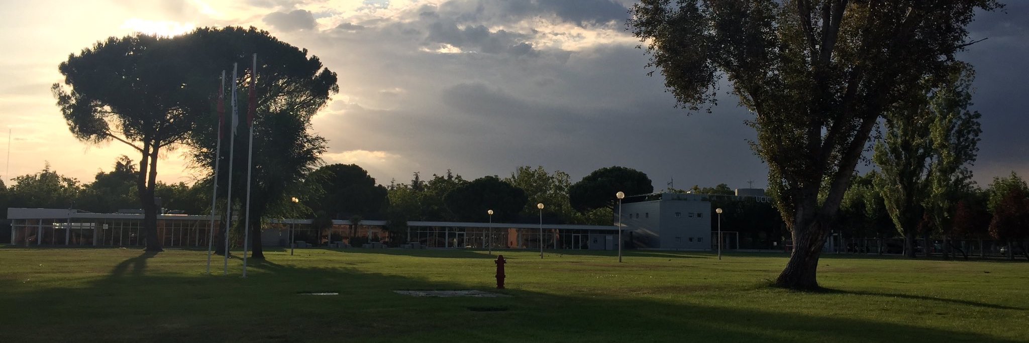 colmenaucjc's profile banner image