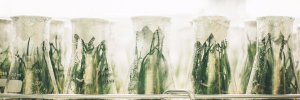 IvetheTA Profile Banner