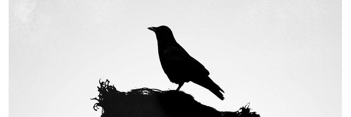 FelixFFrederick's profile banner image