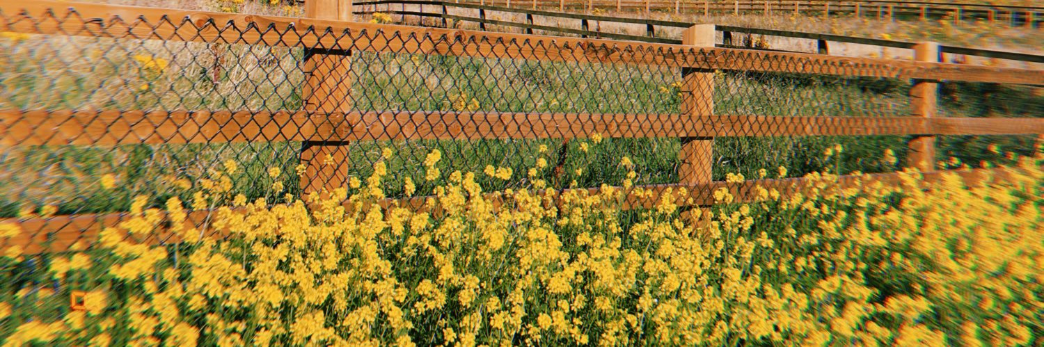 ShushSarah's profile banner image
