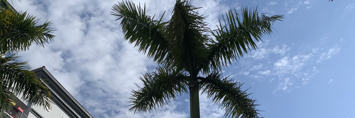 Irene Mulloy Manning banner