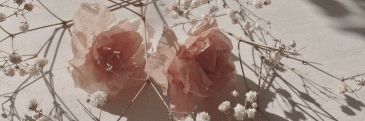 FLEUVlA's profile banner image