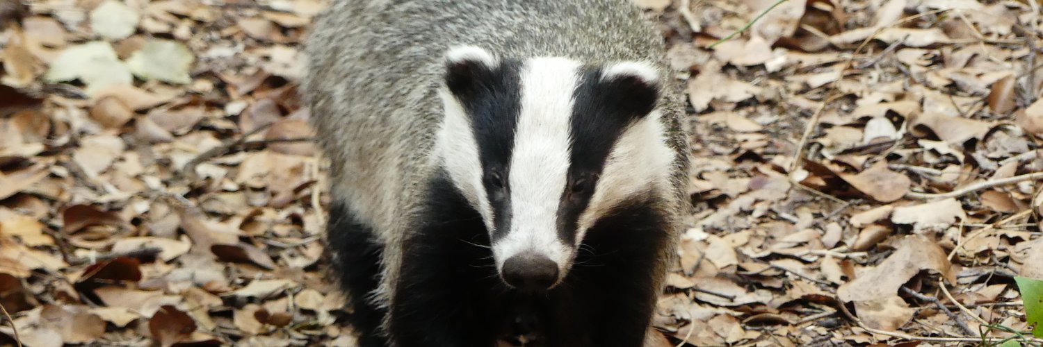 Edward Mortal banner