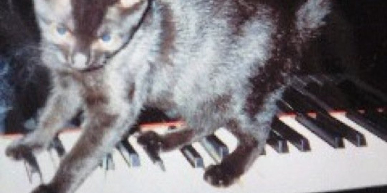 宅 Shoomy 朱美 banner