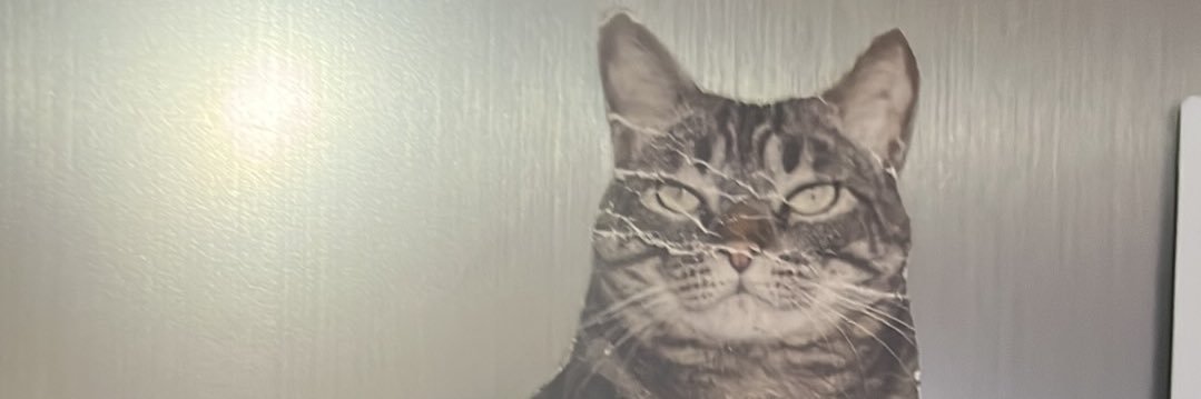 davicalbez's profile banner image