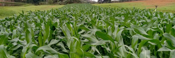 franklinjmachad Profile Banner