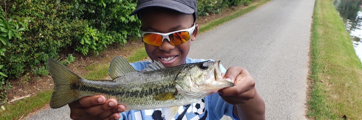 Mr. Bank Yanker banner