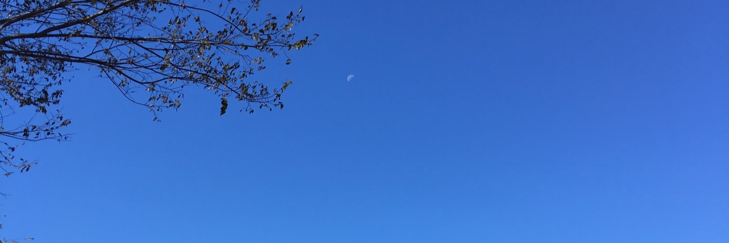 lisashanklin39's profile banner image
