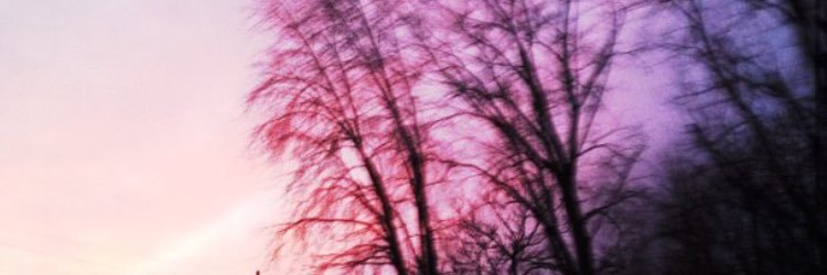Sarah banner