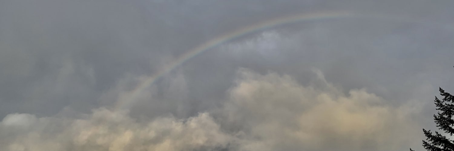 Ana-Maria Calin banner