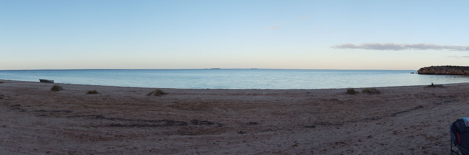 Erinn McCartney banner
