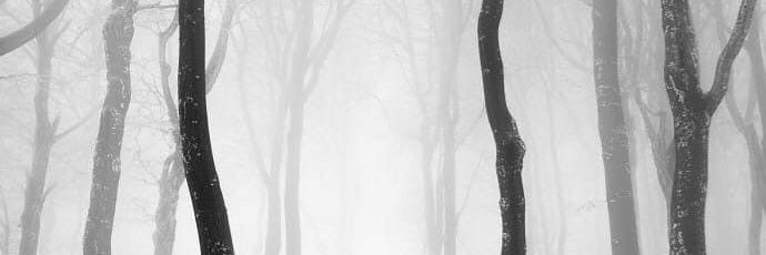 bbigurrl's profile banner image