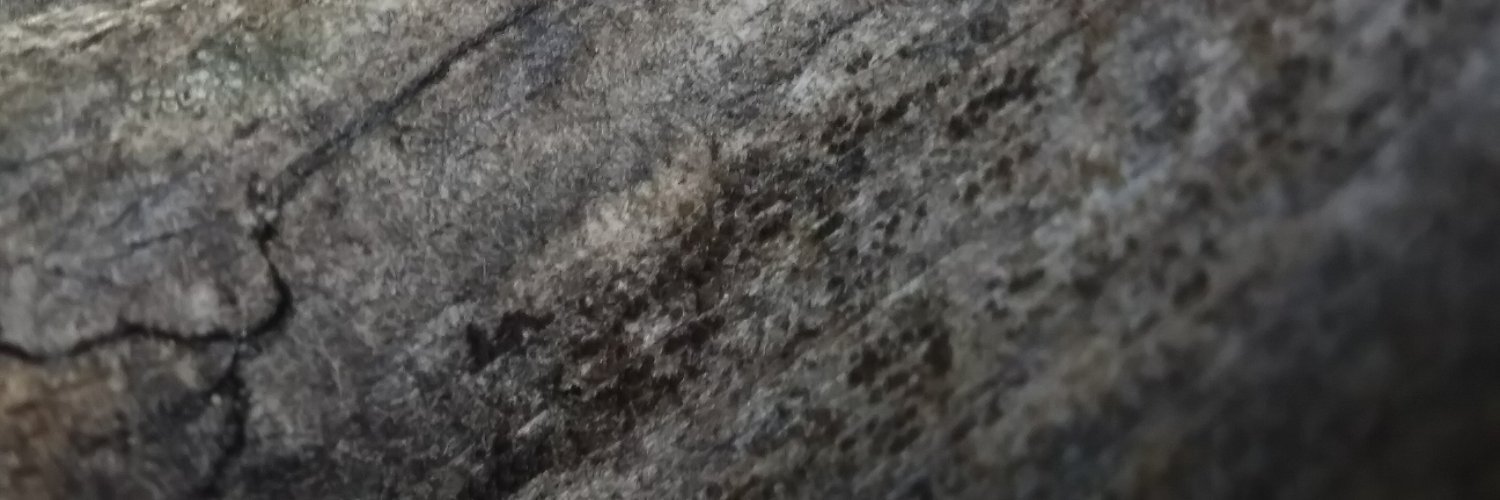 jcgibier's profile banner image