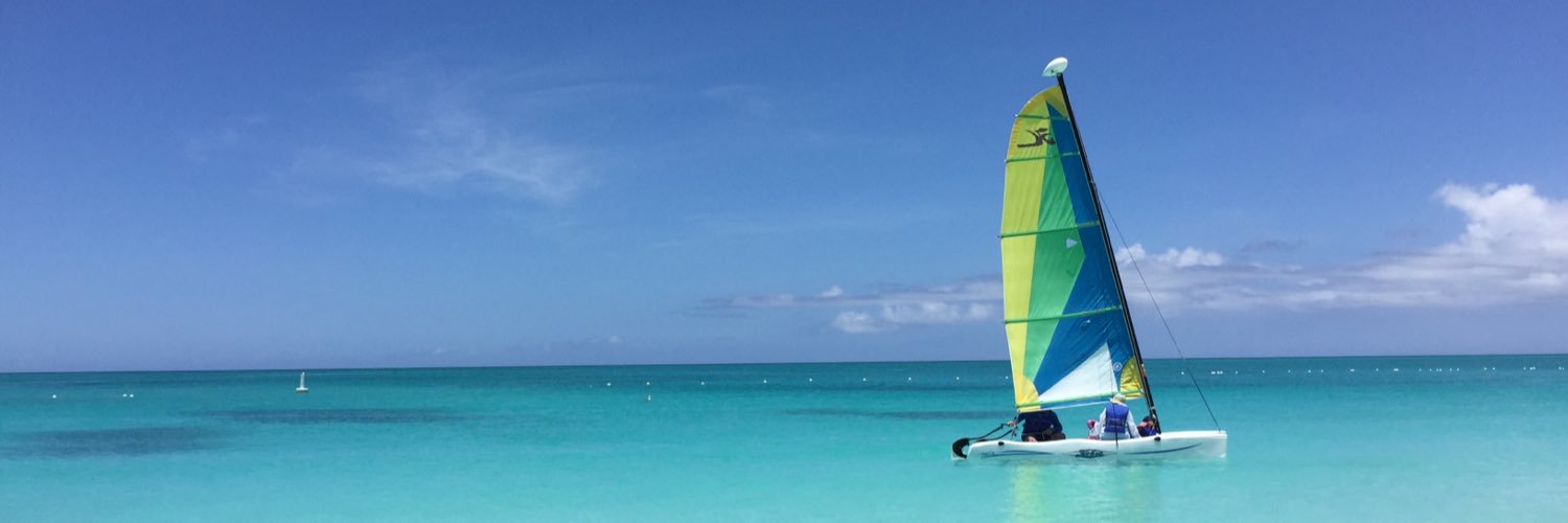 Michelle Hickey banner