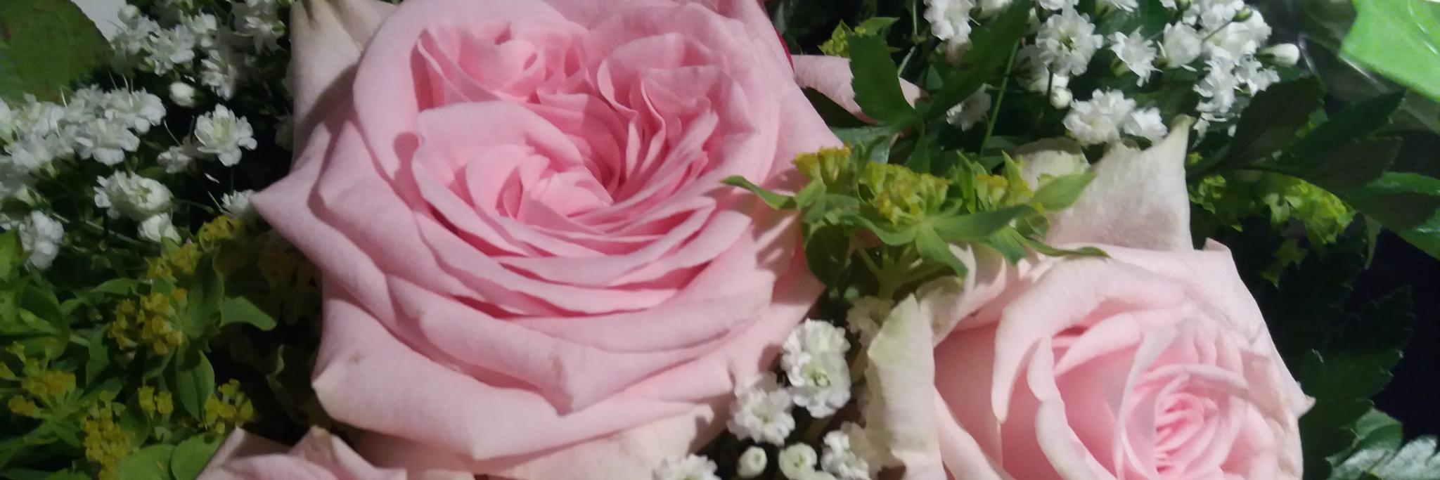 Kirsi Hanski banner
