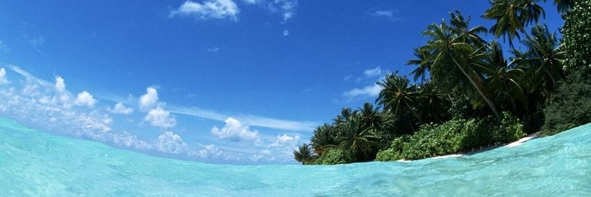 eusuzymoraes's profile banner image