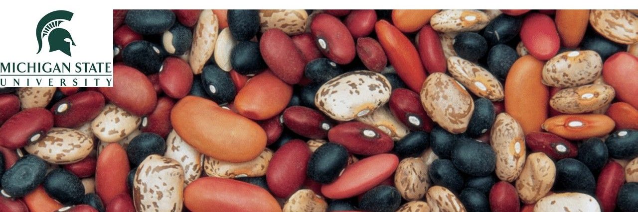 Valerio Hoyos-Villegas banner