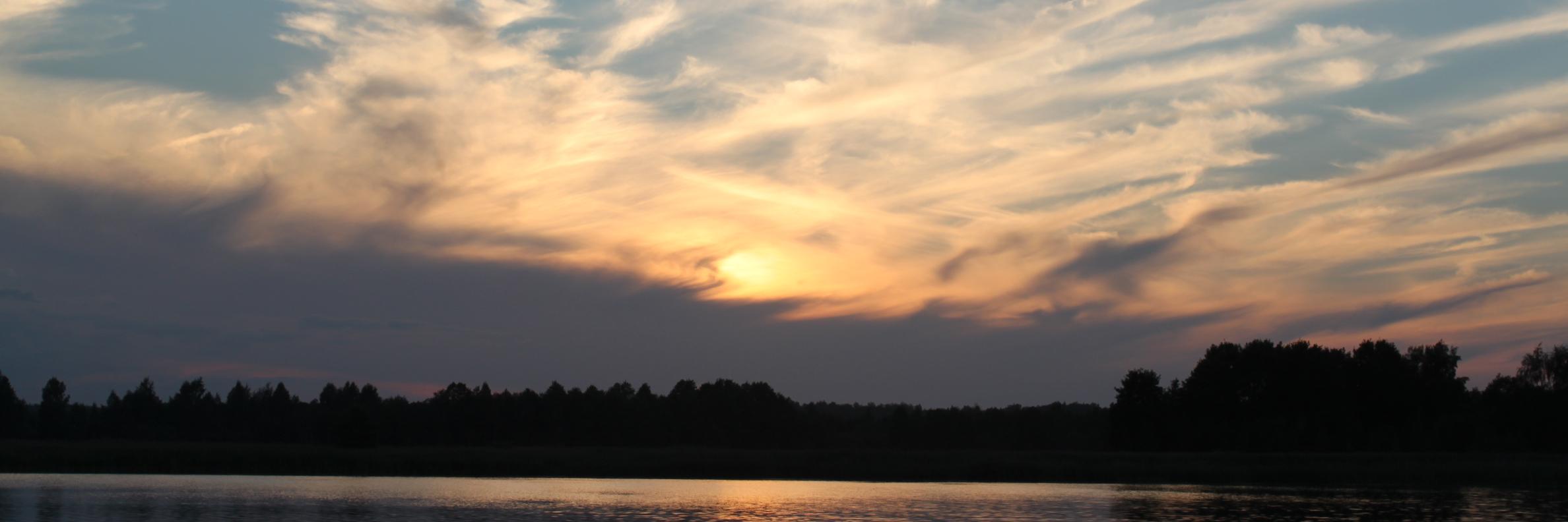 zaakiss's profile banner image