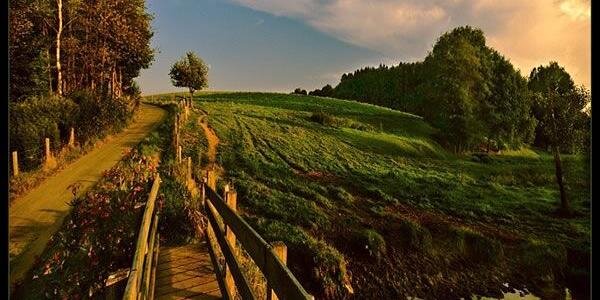 bdooore_2000_'s profile banner image