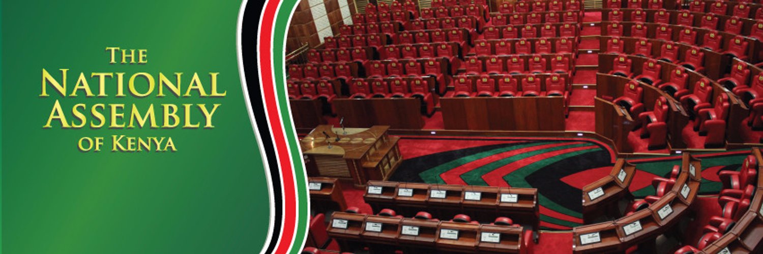 National Assembly KE Profile Banner
