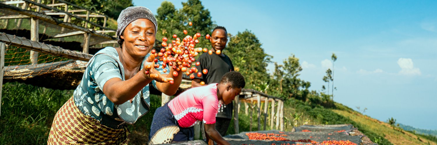 Pact Coffee - follow us on pactcoffee.bsky.social banner