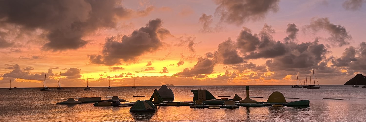 Louise Farrow banner