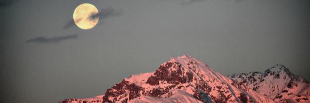 Danielle_1698's profile banner image