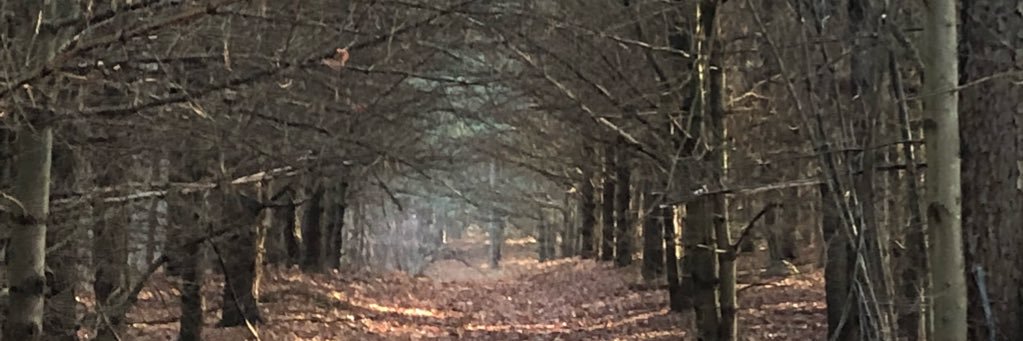 MorellBG's profile banner image