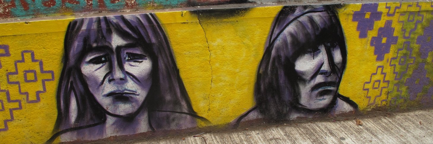 Radical Americas (J) banner