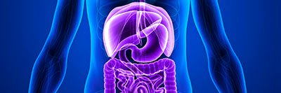 BTHFT GI/Liver Research banner