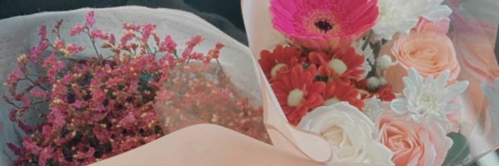 PuteririPutri's profile banner image