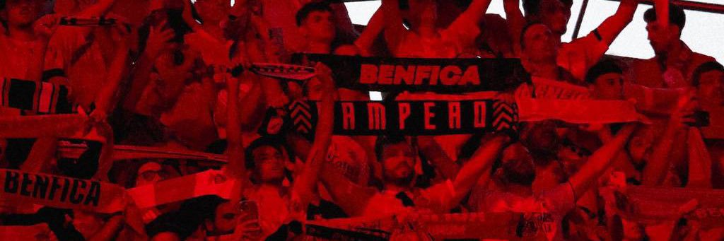 luceliollopes's profile banner image