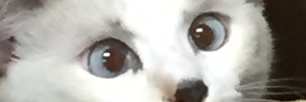 detteib's profile banner image