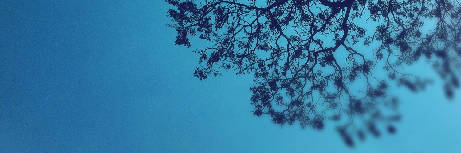 Hublita's profile banner image