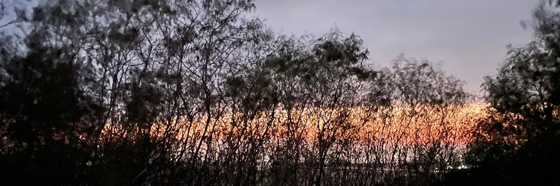 zonble 🍺 ゾンビル KDCEHQ 4H111 banner