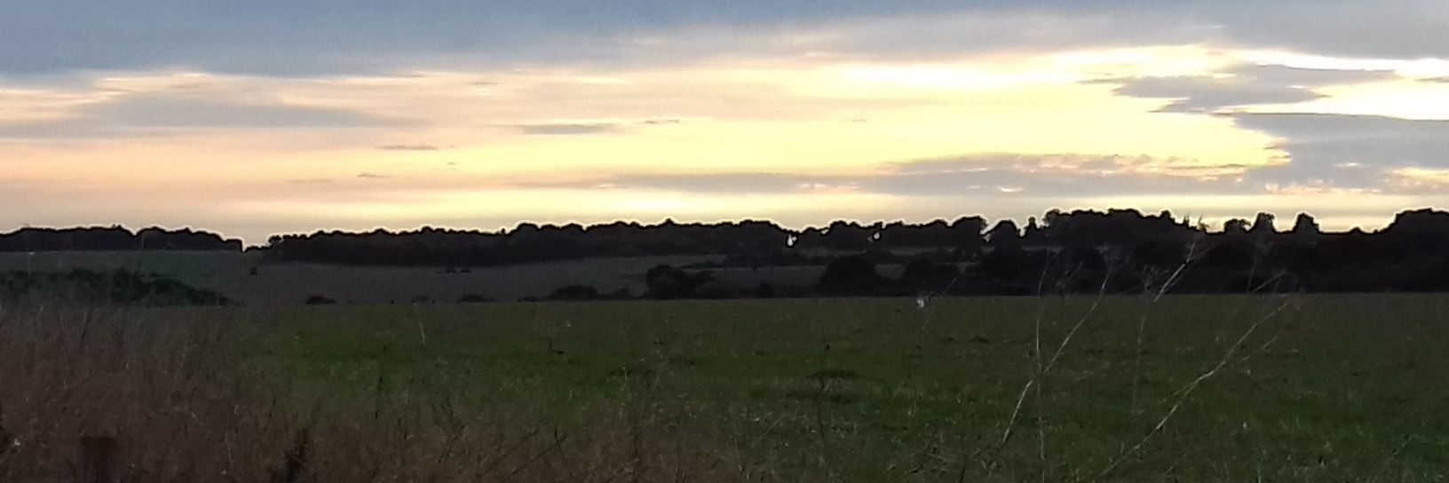Fieldslove1's profile banner image
